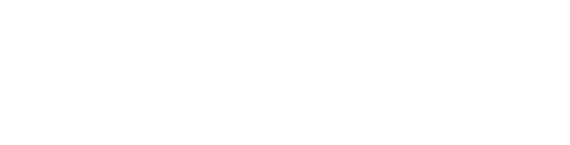 Arista Webstore logo
